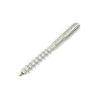 Product image: LAG SCREW, 316, M10x100mm